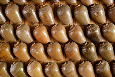 《热血少女2》发售预告 12月1日上线